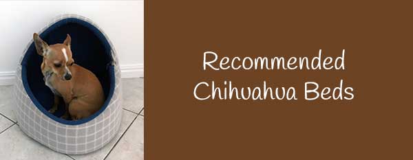 Recommended Chihuahua Beds
